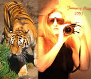 carol with her tiger digital photography