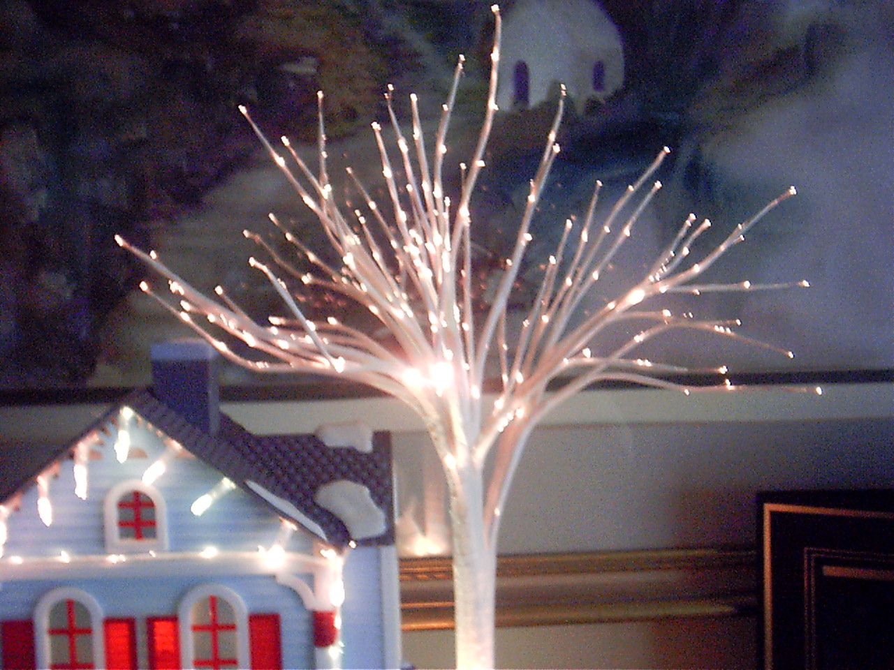 Fiber in the Home at Christmas